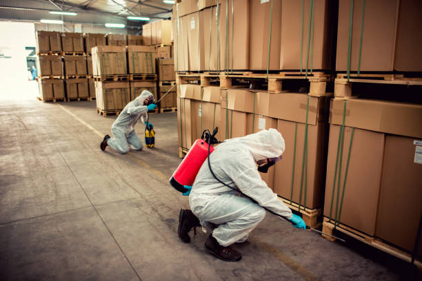 Best Termite Control Services  in Matamoras, OH