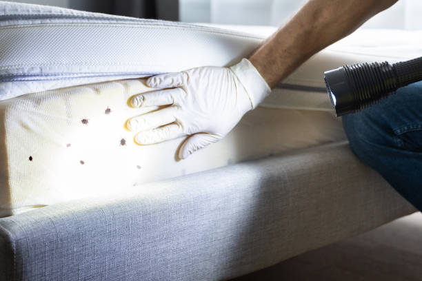 Best Bed Bug Extermination  in Matamoras, OH